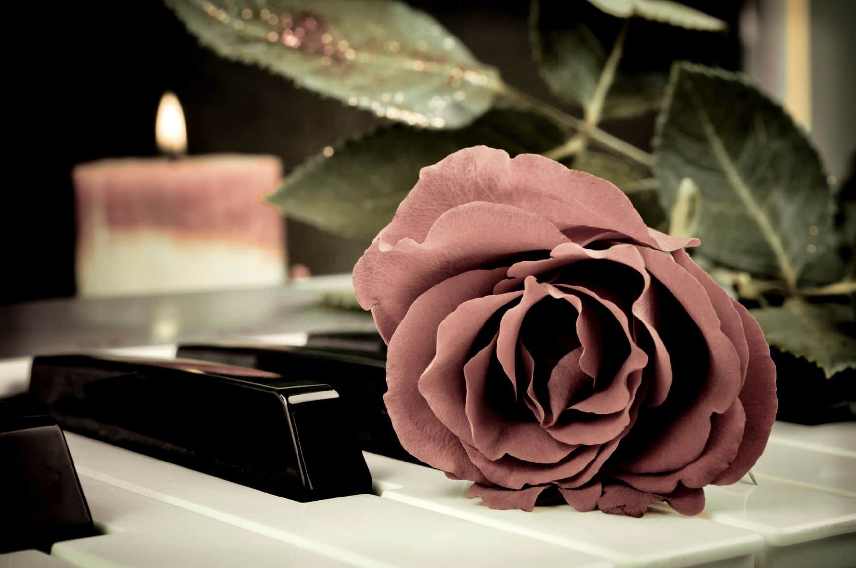 Red rose on the synthesizer keyboard and burning candle in the background